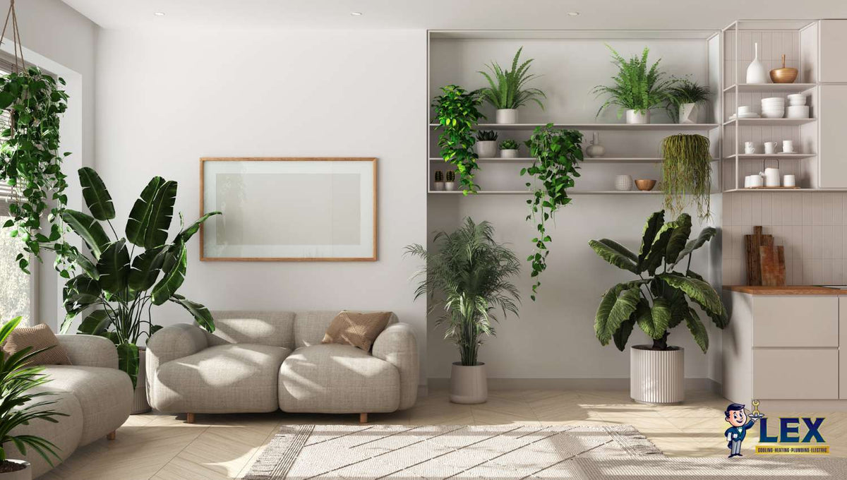Understanding VOC Levels and How They Impact Indoor Air Quality Randall's