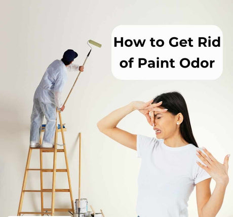 How to Deal With Paint Odors Safely and Quickly