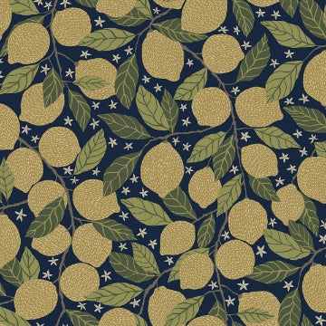 Lemona NAVY Fruit Tree