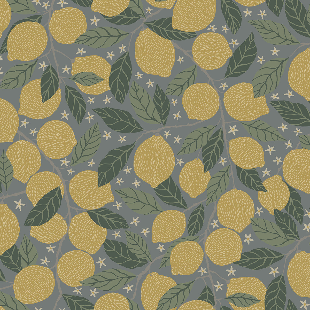 Lemona BLUE Fruit Tree