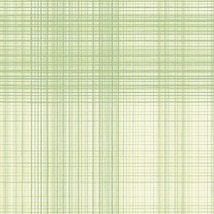 Madras Green Plaid Wallpaper - Plaid Wallpaper