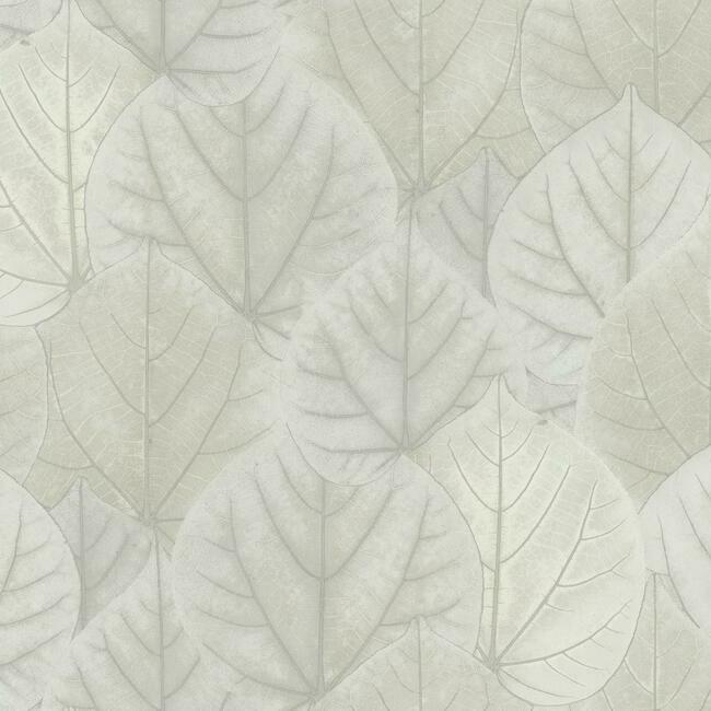 Leaf Concerto PALE GREY