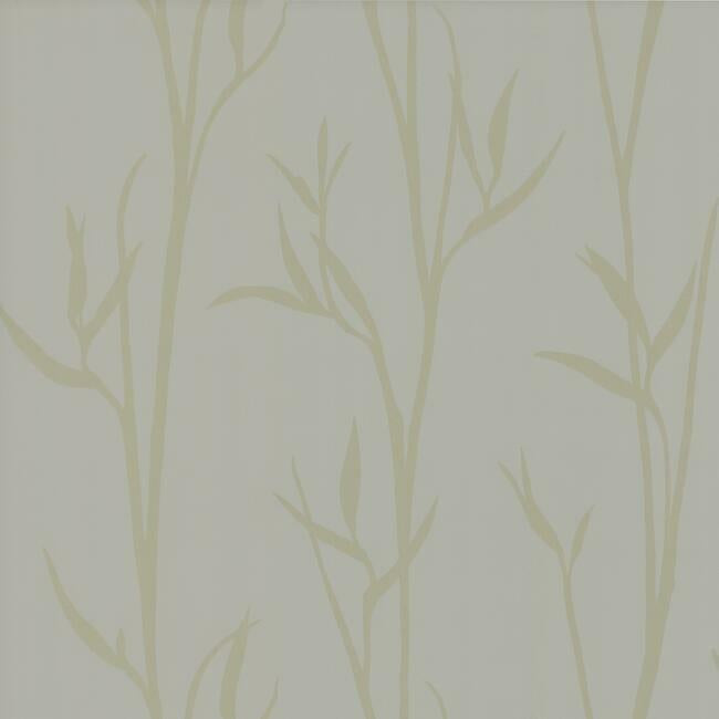 Matcha HP INNER SPIRIT