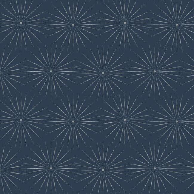 Starlight NAVY/SILVER