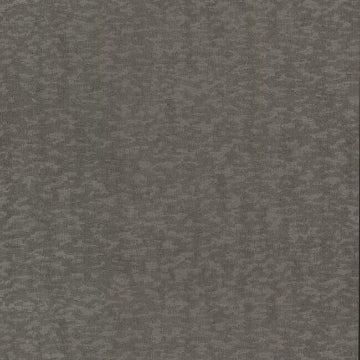 Weathered Cypress WARM SILVER