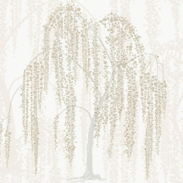 Willow Glow CREAM