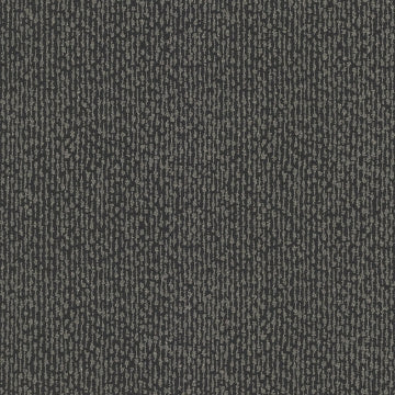 Dazzle BLACK
