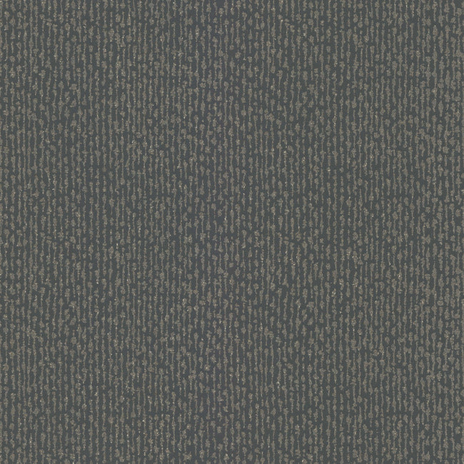 Dazzle CHARCOAL
