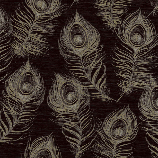 Regal Peacock BLACK
