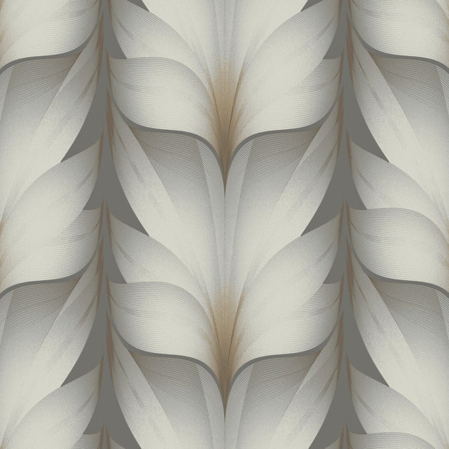 Lotus CHARCOAL