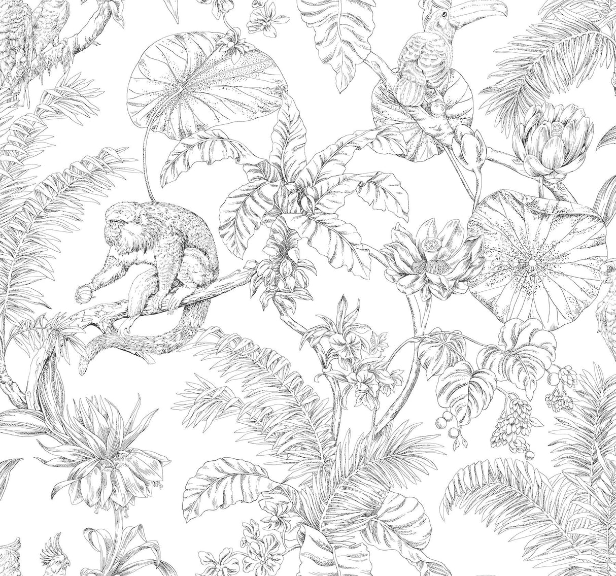 Tropical Sketch Toile Wallpaper- Black - Toile Wallpaper
