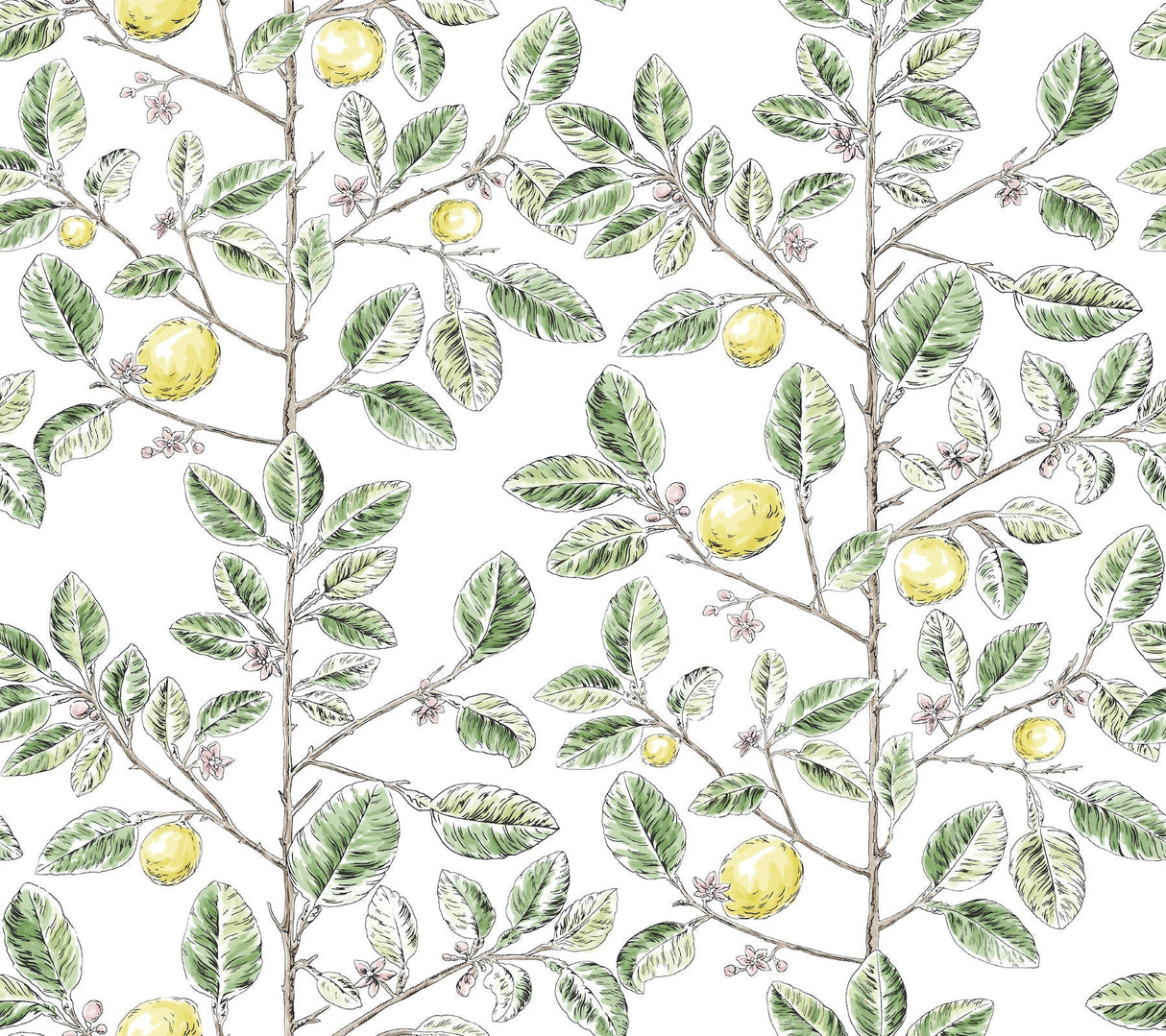 Limoncello Toile Wallpaper- Green - Toile Wallpaper