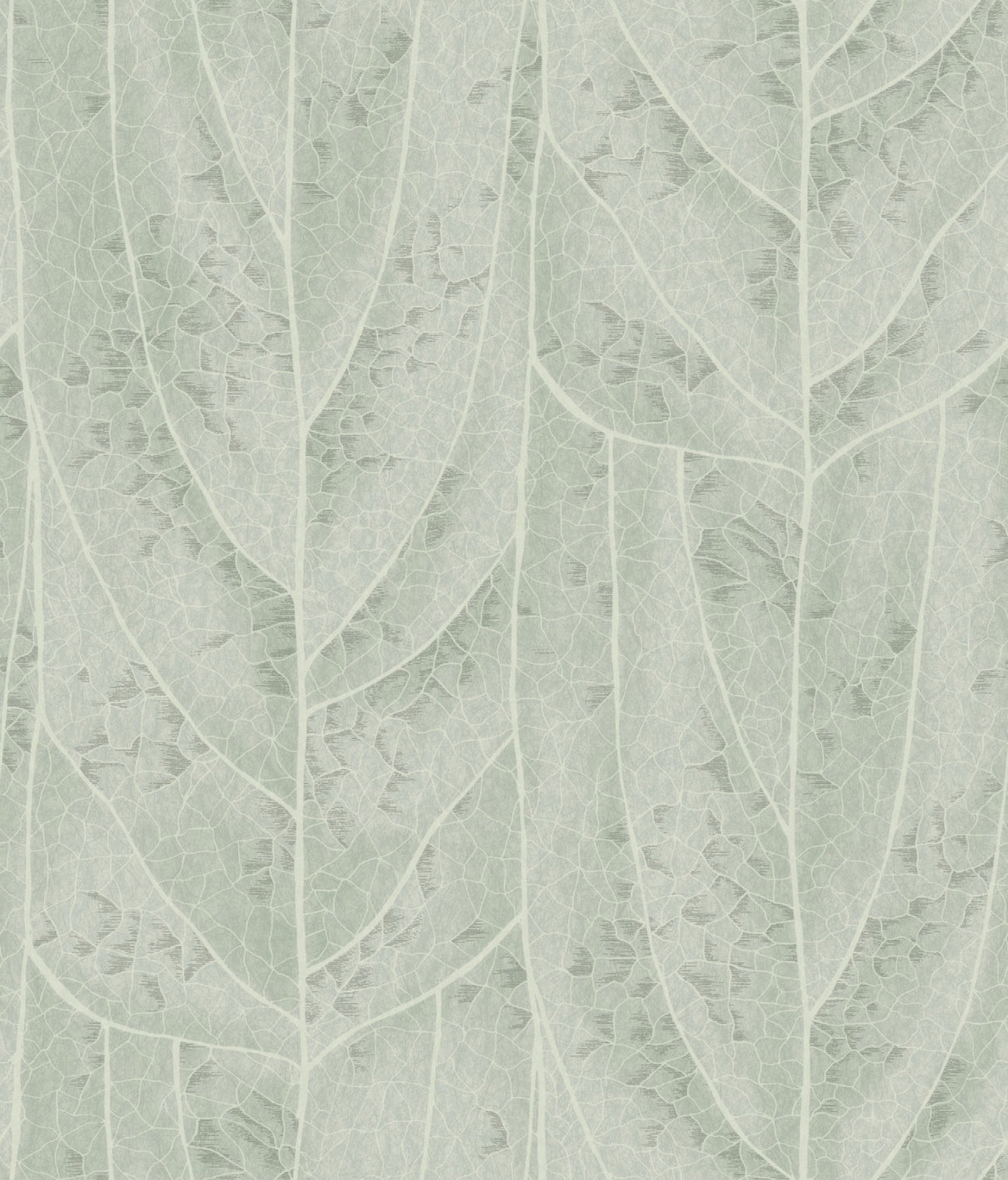 Dicot Spa Leaf SPA