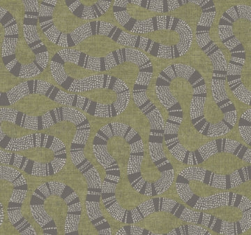 Ophidia OLIVE