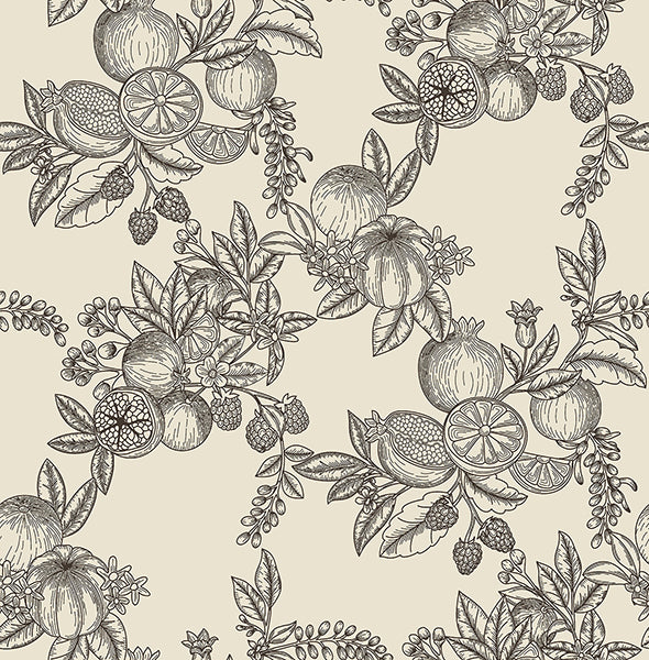 Gerty Black Fruit Toile Wallpaper - Toile Wallpaper