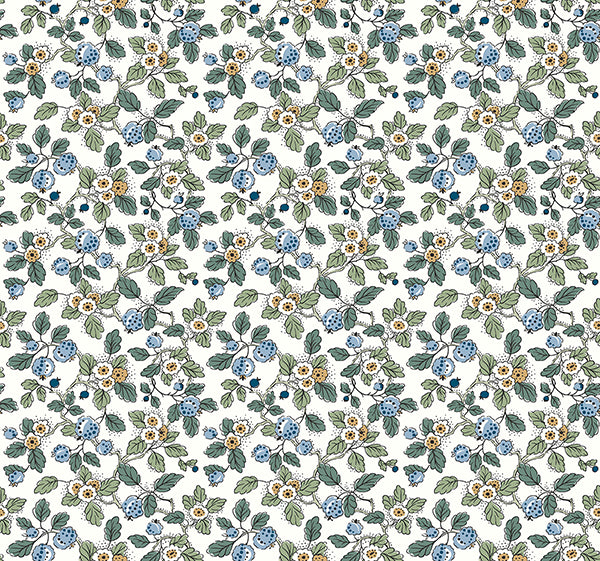 Framboise BLUE