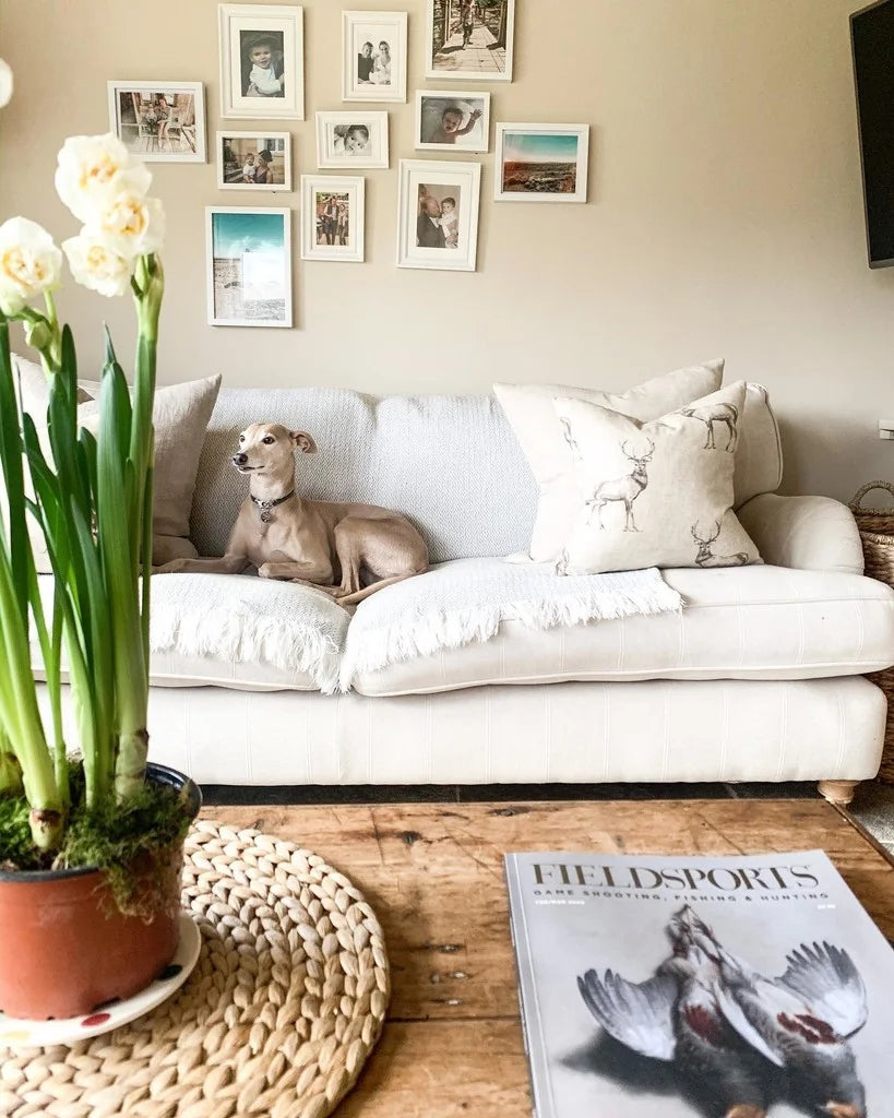 Joa's White No. 226 - Farrow & Ball Paint