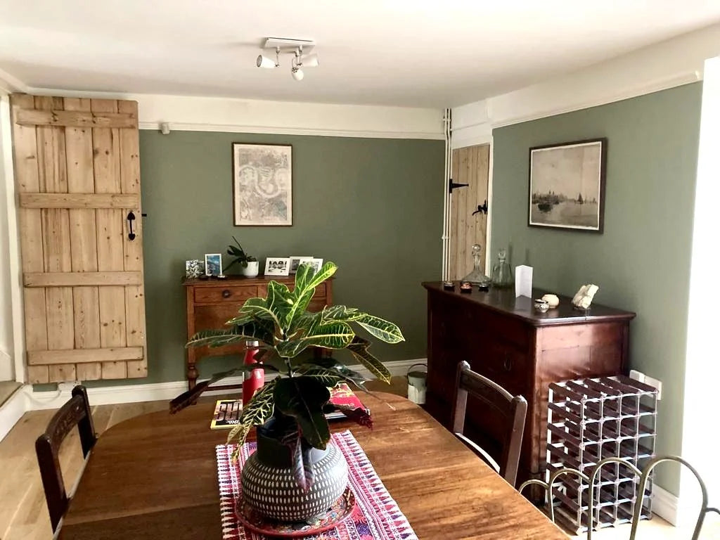 Lichen No. 19 - Farrow & Ball Paint