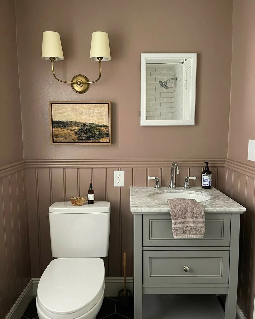 Dead Salmon No. 28 - Farrow & Ball Paint