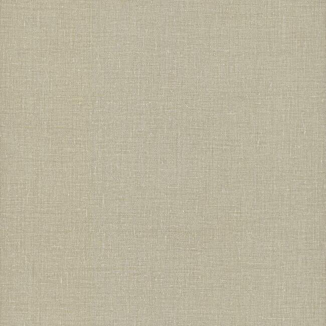 Gesso Weave Wallpaper by Signature Textures Resource Library