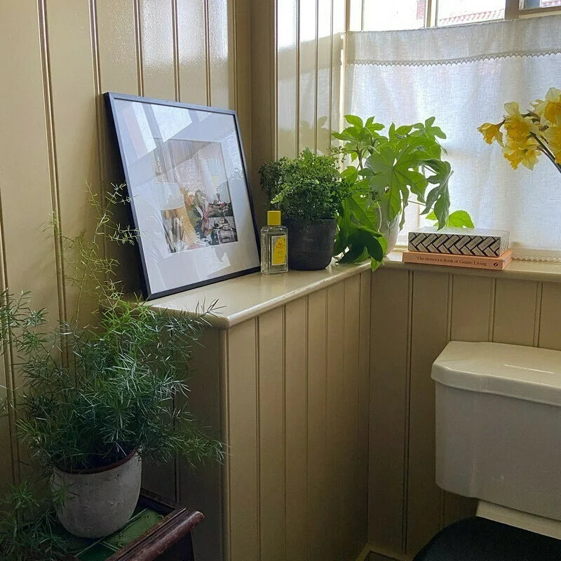 Cord No. 16 - Farrow & Ball Paint