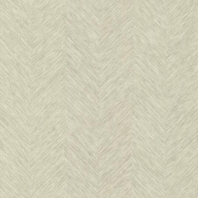Metallic Chevron Wallpaper by Antonina Vella Wallpaper