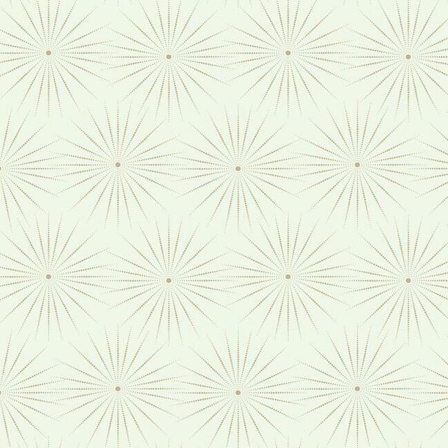 Starlight Wallpaper by Antonina Vella Wallpaper