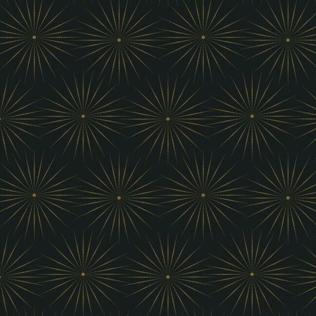 Starlight Wallpaper by Antonina Vella Wallpaper