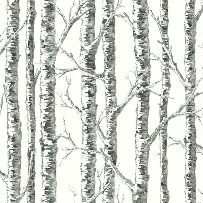 Paper Birch Wallpaper by Black & White Resource Library