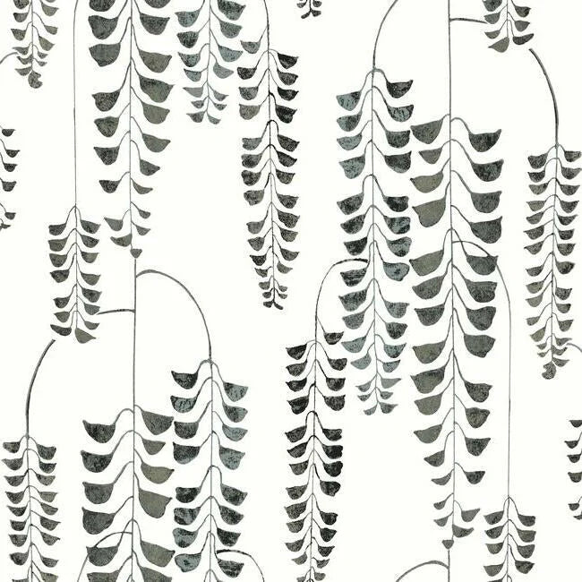 Deco Wisteria Wallpaper by Black & White Resource Library