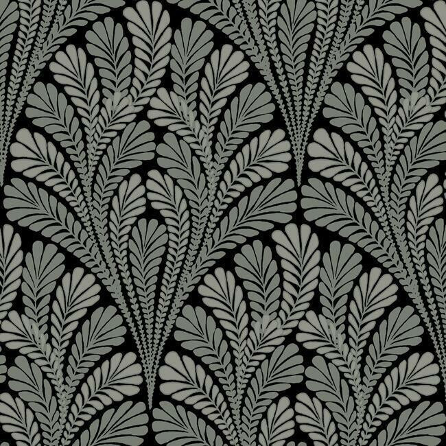 Shell Damask Wallpaper by Black & White Resource Library