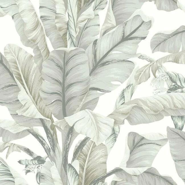 Banana Leaf Wallpaper by Black & White Resource Library