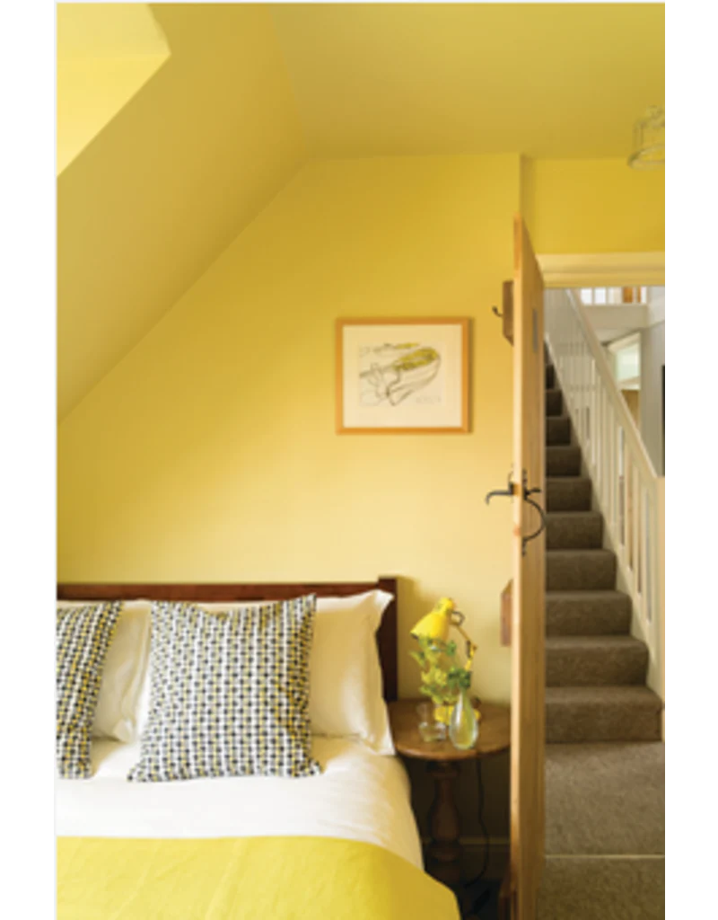 Ciara Yellow No. 73 - Farrow & Ball Paint