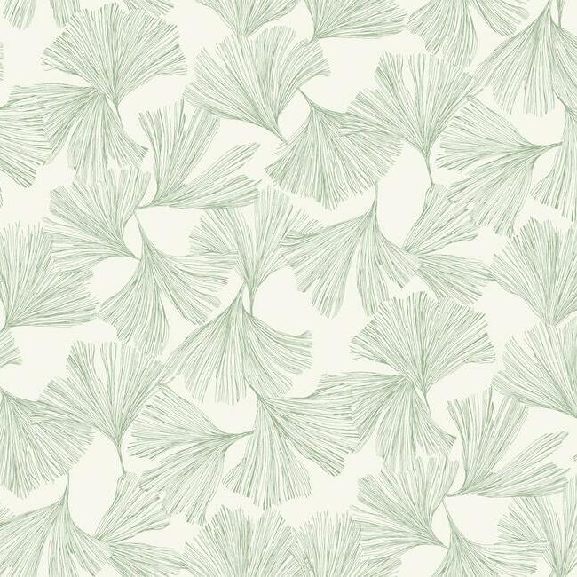 Ginkgo Toss Wallpaper by Antonina Vella Wallpaper