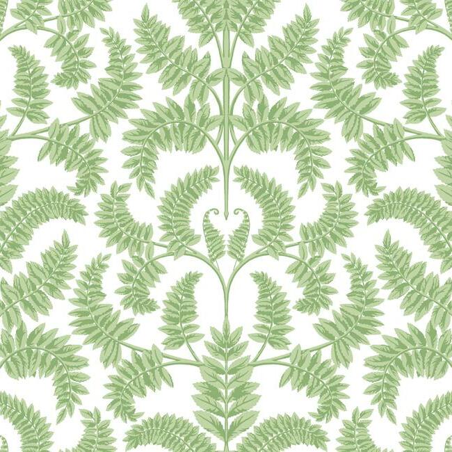 Royal Fern Damask Wallpaper by Damask Resource Library