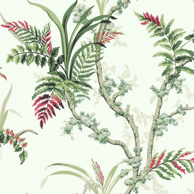 Enchanted Fern Wallpaper by Grandmillennial Wallpaper