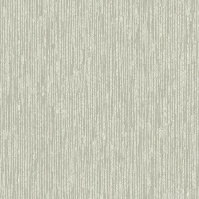 Feather Fletch Wallpaper by Ronald Redding Wallpaper