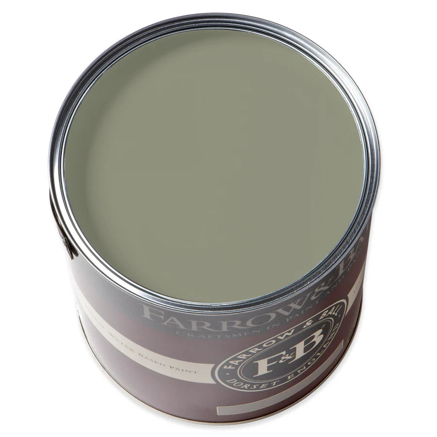 Lichen No. 19 - Farrow & Ball Paint