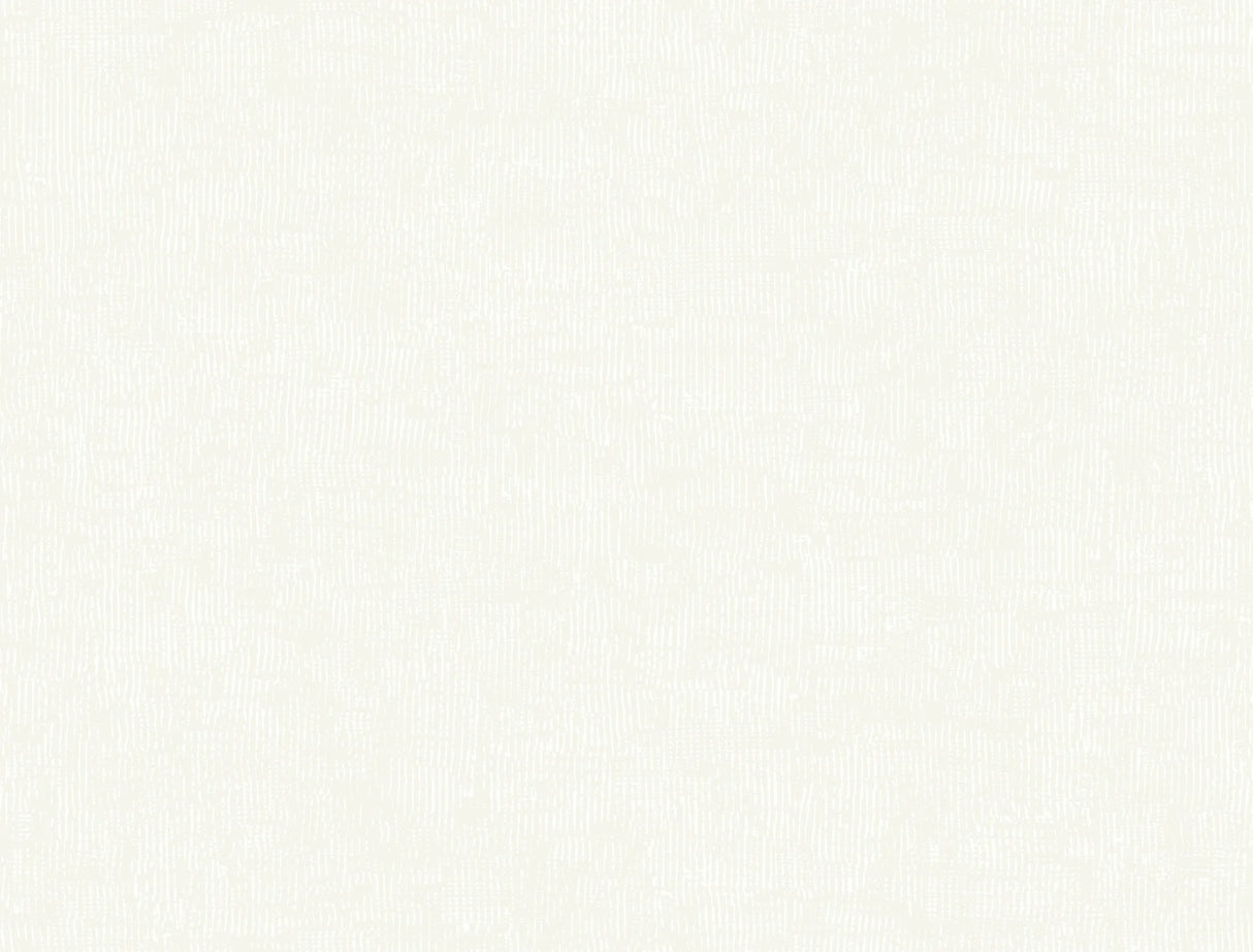 Trabadillo Plaster by Montecito