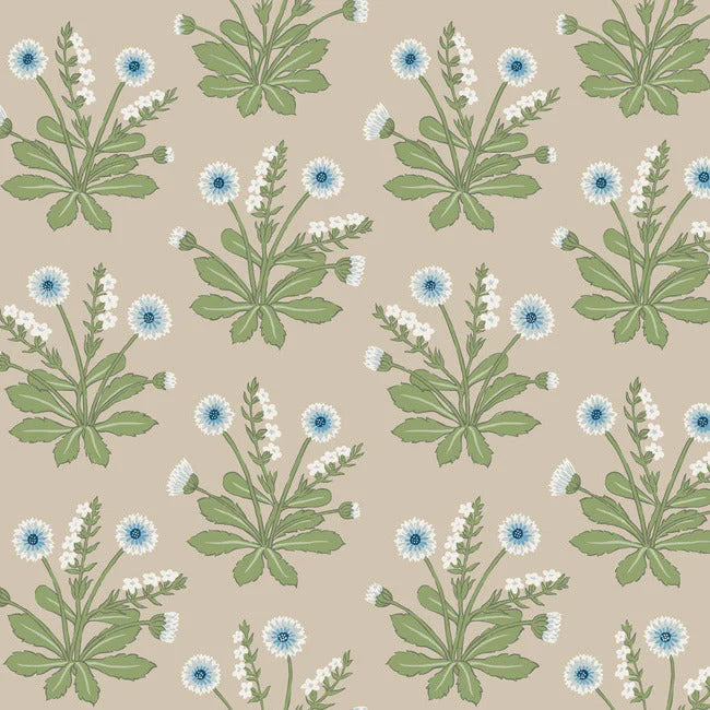 Meadow Flowers Wallpaper by Ronald Redding Wallpaper