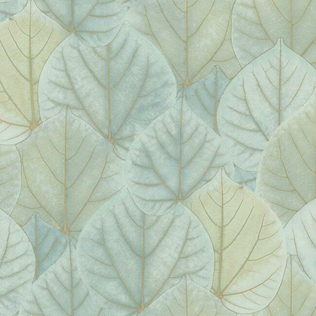 Leaf Concerto Wallpaper by Candice Olson Wallcoverings