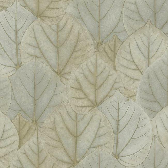 Leaf Concerto Wallpaper by Candice Olson Wallcoverings