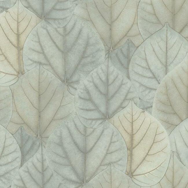 Leaf Concerto Wallpaper by Candice Olson Wallcoverings