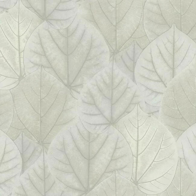 Leaf Concerto Wallpaper by Candice Olson Wallcoverings