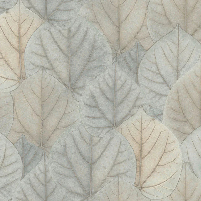 Leaf Concerto Premium Peel + Stick Wallpaper by Candice Olson Wallcoverings