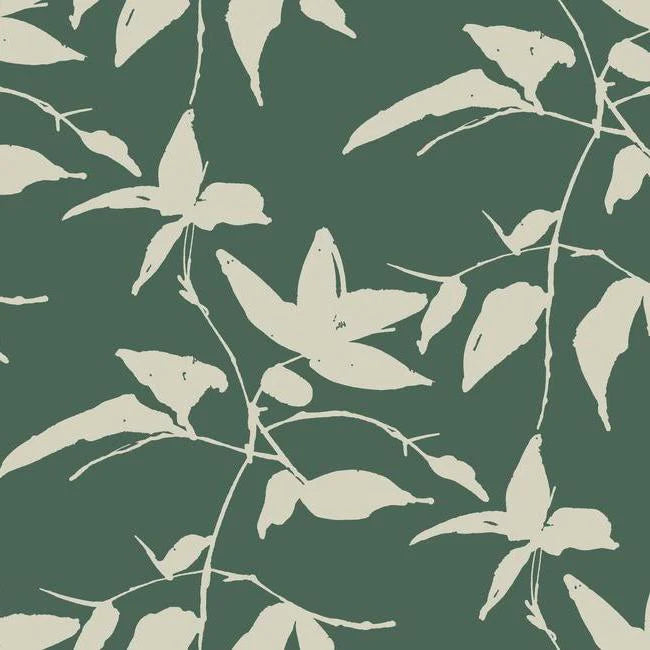 Persimmon Leaf Wallpaper by Ronald Redding Wallpaper