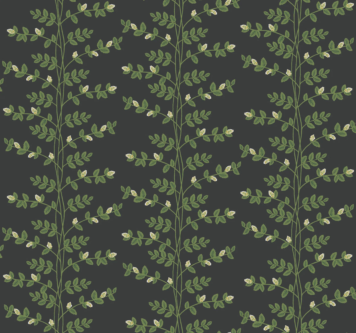 Climbing Vine Wallpaper by Rifle Paper Co. Third Edition