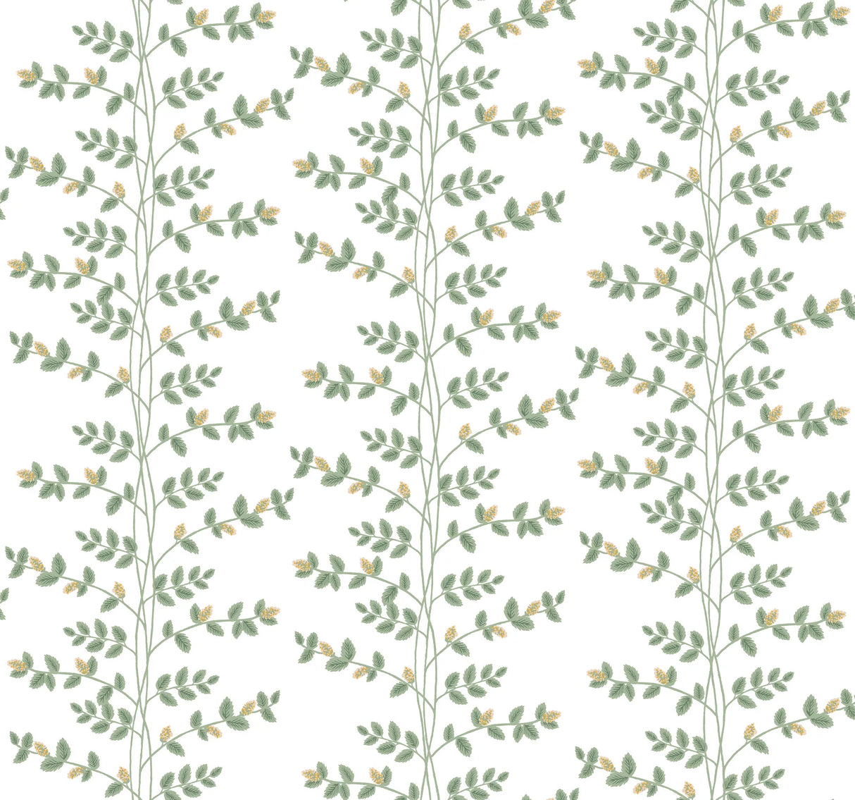 Climbing Vine Wallpaper by Rifle Paper Co. Third Edition