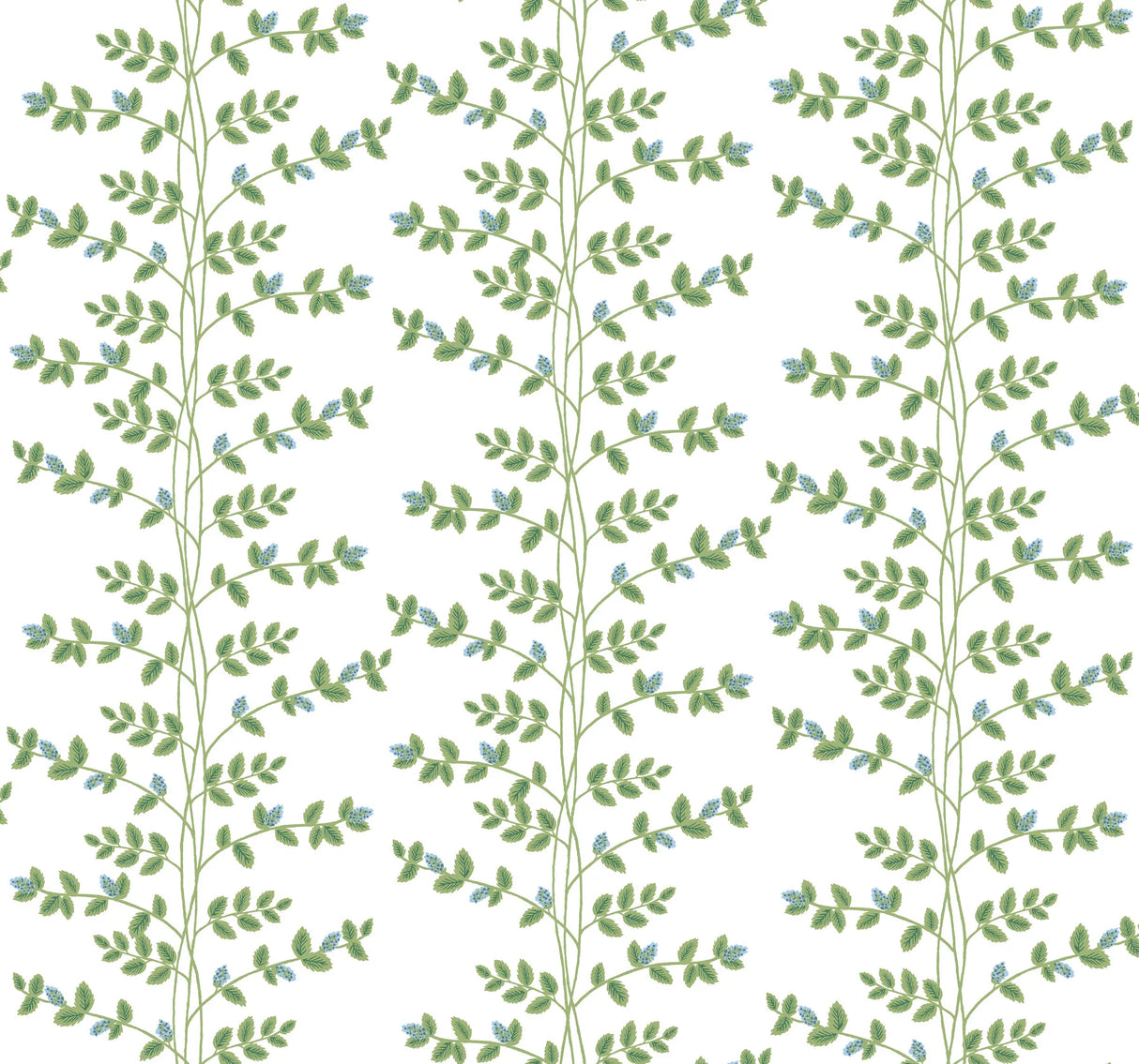 Climbing Vine Wallpaper by Rifle Paper Co. Third Edition