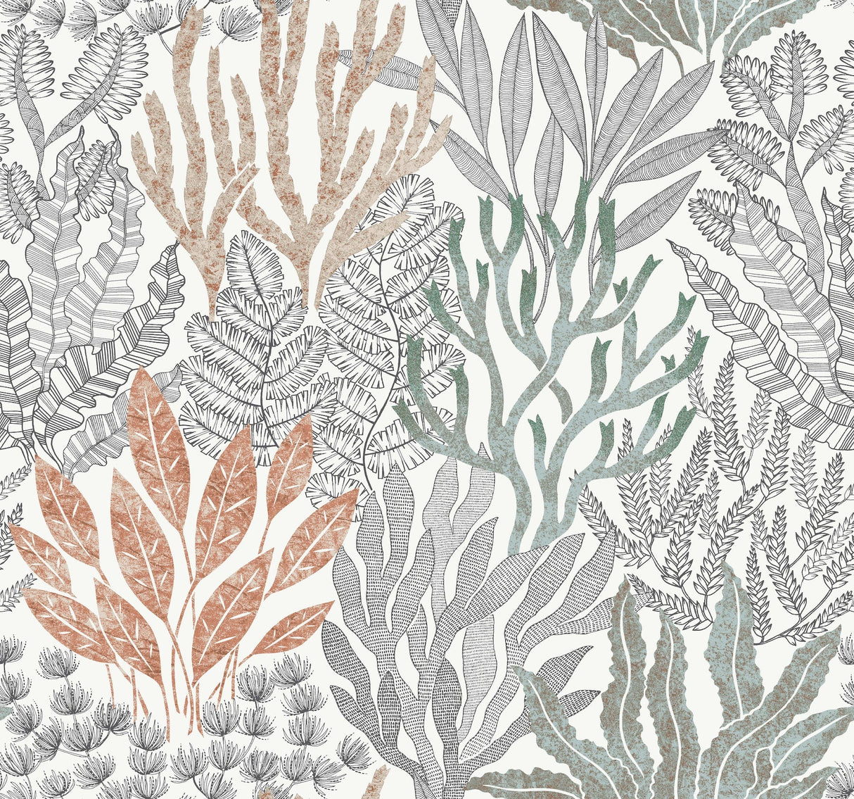 Coral Leaves Wallpaper by Toiles Resource Library